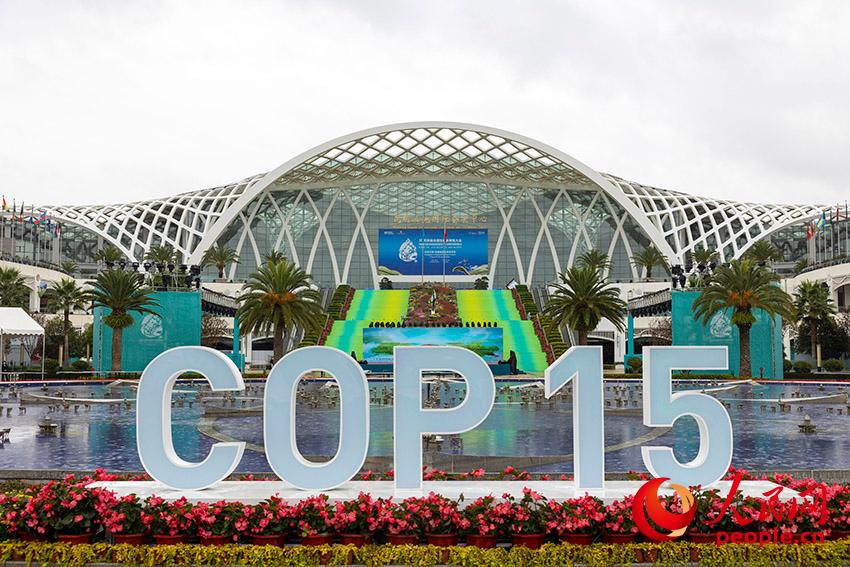COP15第一階段會議